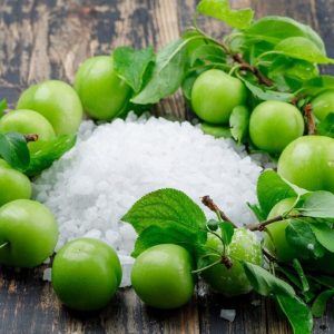 salty-plum-1743609913